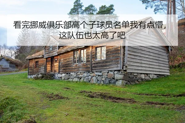 看完挪威俱乐部高个子球员名单我有点懵，这队伍也太高了吧
