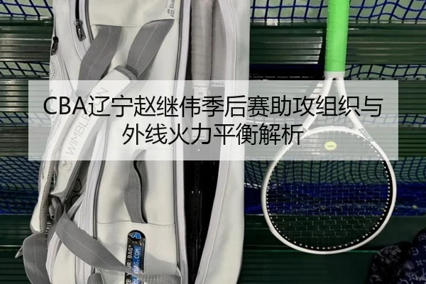CBA辽宁赵继伟季后赛助攻组织与外线火力平衡解析
