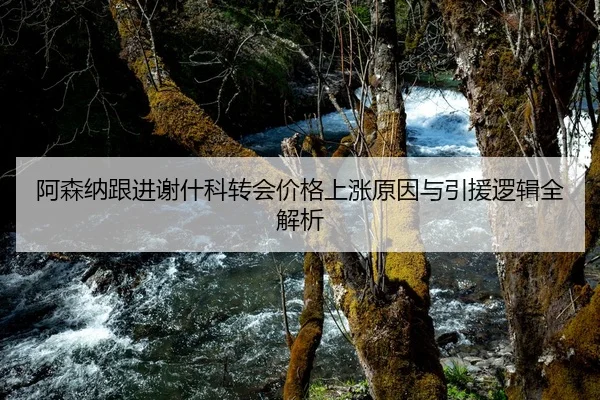 阿森纳跟进谢什科转会价格上涨原因与引援逻辑全解析
