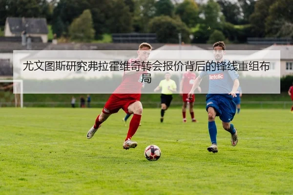 img_1781192482249_86_1_898.jpg