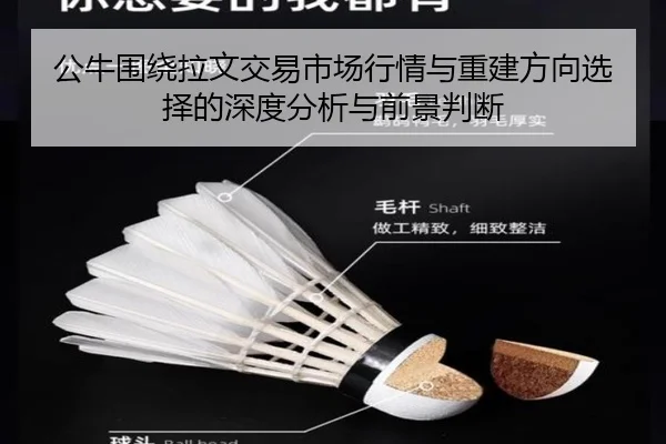公牛围绕拉文交易市场行情与重建方向选择的深度分析与前景判断