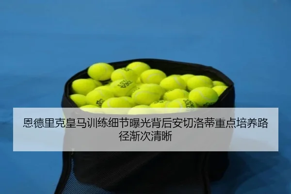 恩德里克皇马训练细节曝光背后安切洛蒂重点培养路径渐次清晰